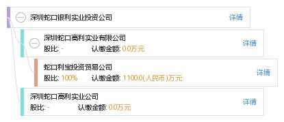 深圳蛇口银利实业投资公司资产管理探析